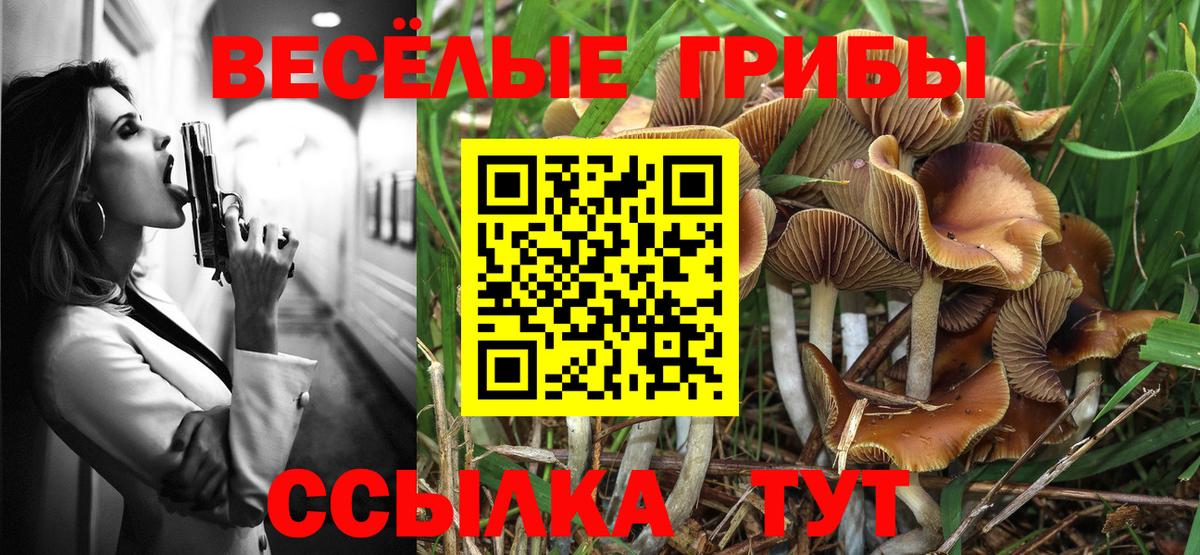 Галлюциногенные грибы ЛСД Биробиджан