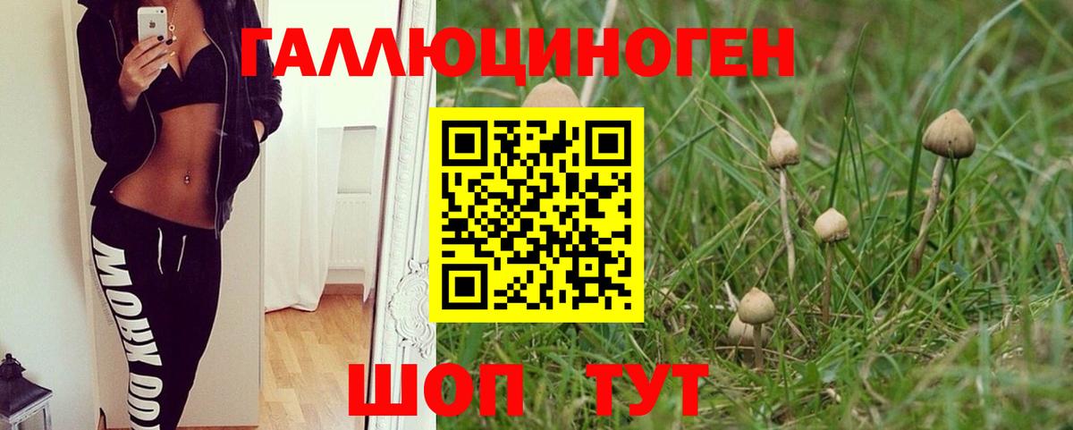 Псилоцибиновые грибы мухоморы  Галлюциногенные грибы ЛСД  Биробиджан  Вход с VPN 