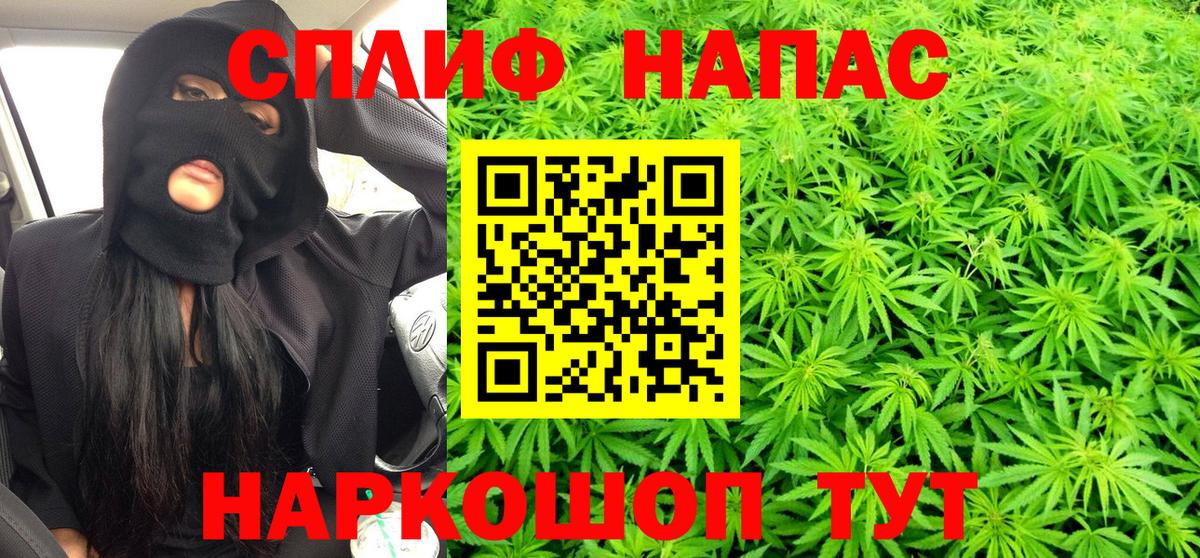 Каннабис конопля Биробиджан